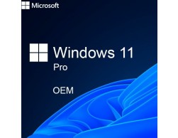 Программное обеспечение Windows 11 Professional 64-Bit Russian (FQC-10547) право на использование + установочный комплект`, Пенза.