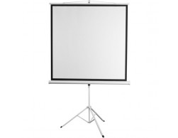 Экран для проектора Digis Kontur-D DSKD-4303 (на штативе формат 4:3, 100', 206x159, рабочая поверхность 200x150, MW), Пенза.